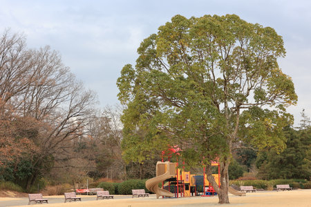 Big tree in a children's playground.の写真素材