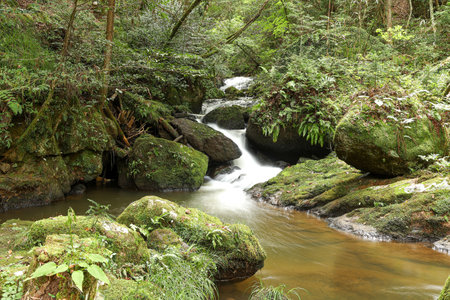 Mountain stream in the forest, Thailand. Natural landscape background.の写真素材