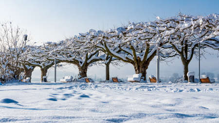 Fantastic snowy landscape on Lake Constance with blue sky