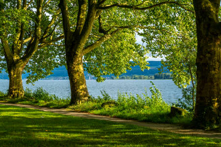 Lakeshore summer Radolfzell on Lake Constanceの写真素材