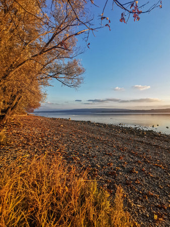 Lake Constance in autumnの写真素材