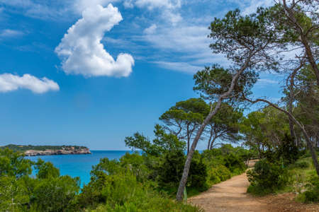 Parc natural de Mondrag Majorca summer vacationの写真素材