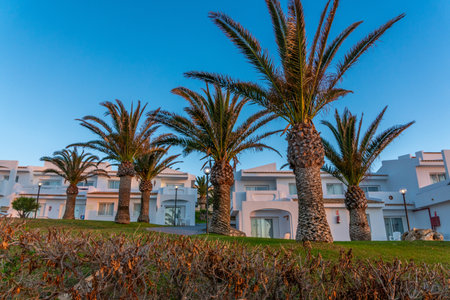Palm trees in the garden of a luxury villa in Tenerifeのeditorial素材