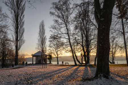 Mettnau Park in winter Radolfzell on Lake Constanceの写真素材