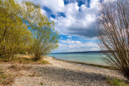 Beautiful spring landscape on the shore of Lake Constance Konstanzの写真素材