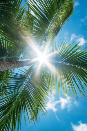 Coconut palm leaves with blue sky background - created with AIの素材