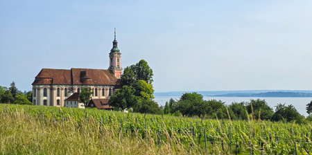 Baroque pilgrimage church Birnau with vineyard and Lake Constance view in summerの写真素材