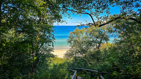 Forest Path Leading to Baltic Sea Beachの写真素材