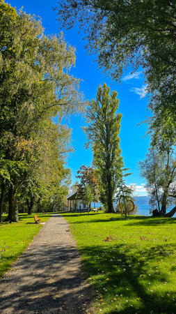 Lake shore Radolfzell on Lake Constance Mettnau Autumn colorsの写真素材