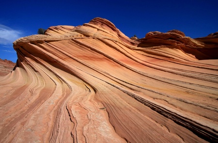 the waveの写真素材