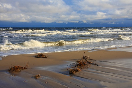baltic seaの写真素材