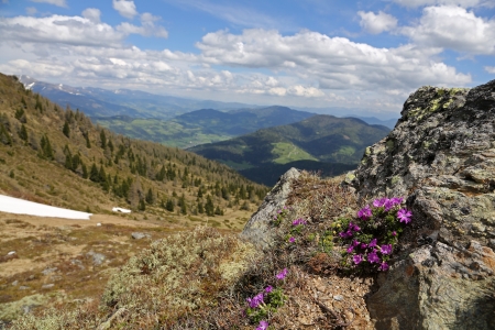 beautyful landscape, the Austrian Alps の写真素材