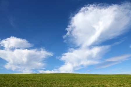 gras field with cloudy sky の写真素材