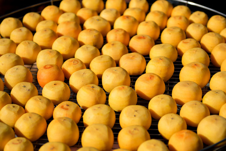 Persimmon cake in the sun bath.の写真素材