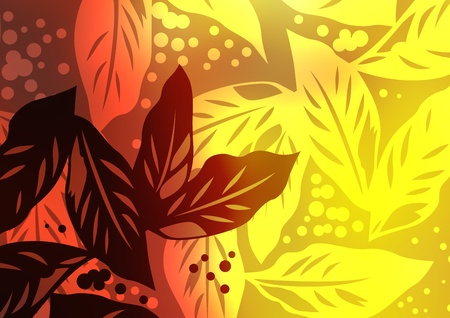 graphic patternsの写真素材