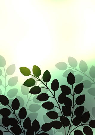 graphic patternsの写真素材