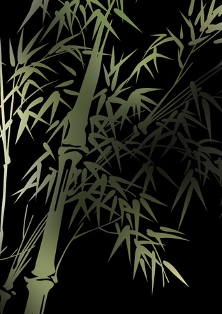 graphic patternsの写真素材