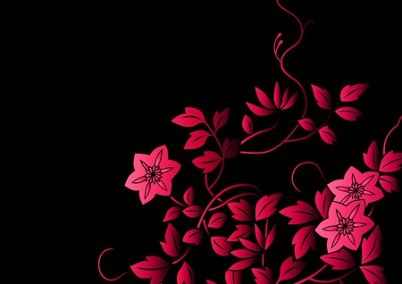 graphic patternsの写真素材