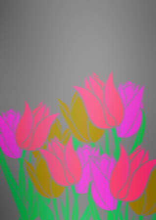 graphic patternsの写真素材