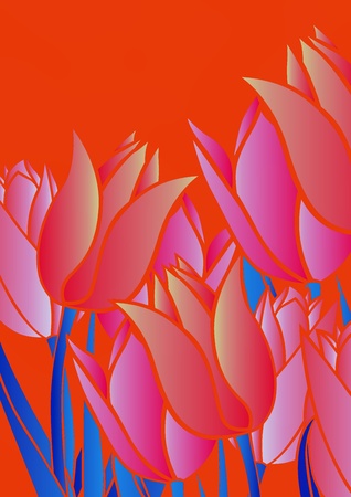 graphic patternsの写真素材
