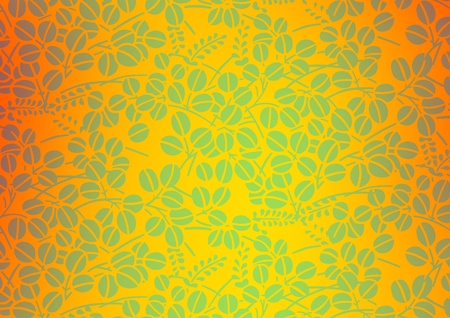 graphic patterns