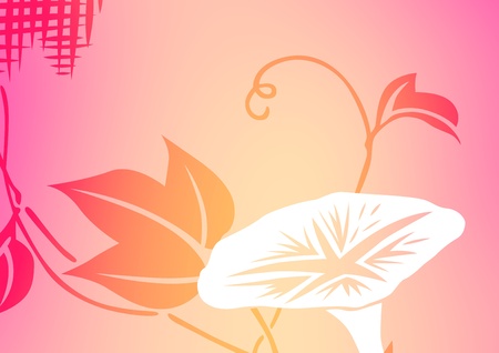 graphic patternsの写真素材