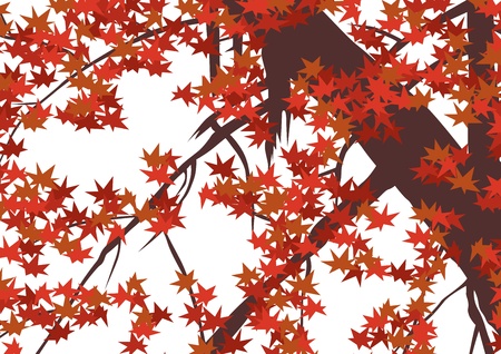 graphic patternsの写真素材