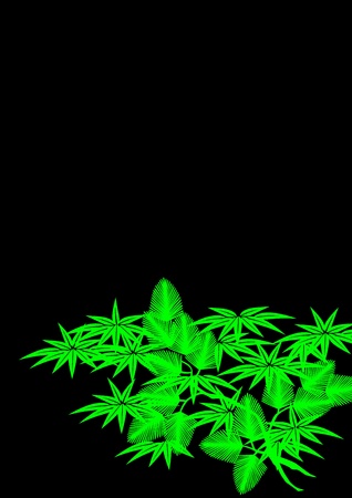 graphic patternsの写真素材