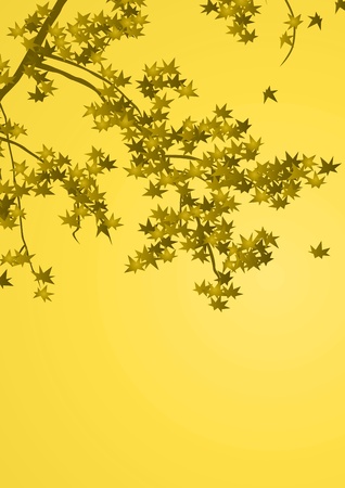 graphic patternsの写真素材