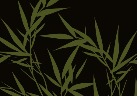 graphic patternsの写真素材