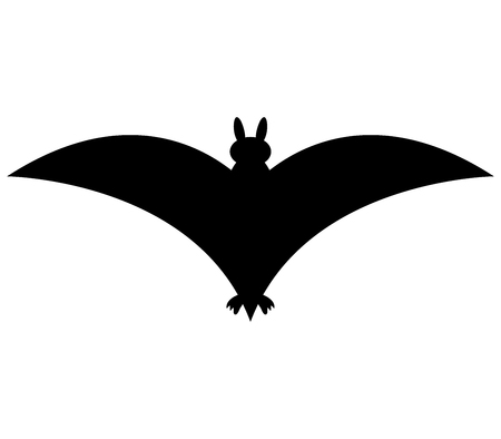bat on a white backgroundの写真素材