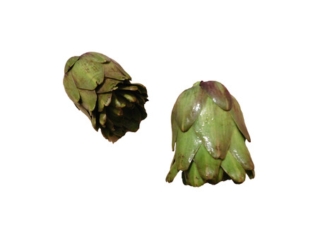 artichokes on white backgroundの写真素材
