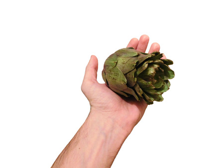 artichokes on white backgroundの写真素材