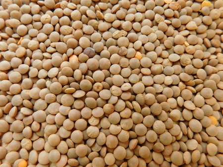 lentils in the kitchenの写真素材