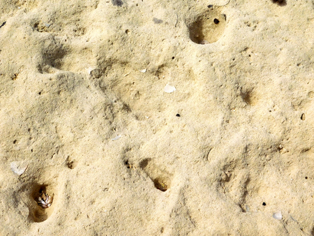 stone texture