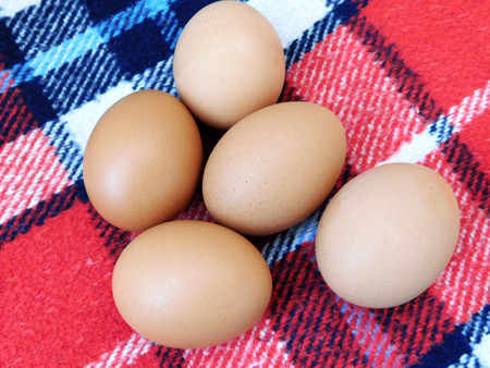 eggs