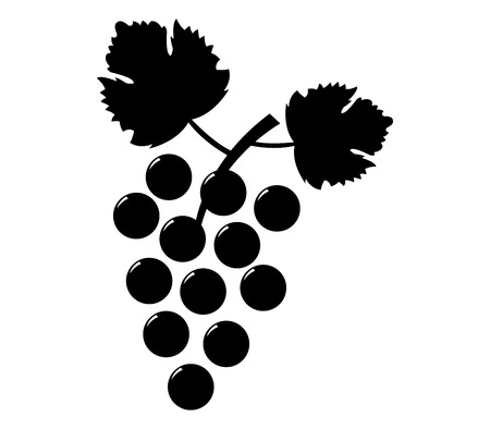 grapesの写真素材