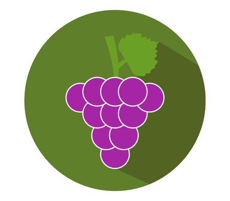 icon grapeの写真素材