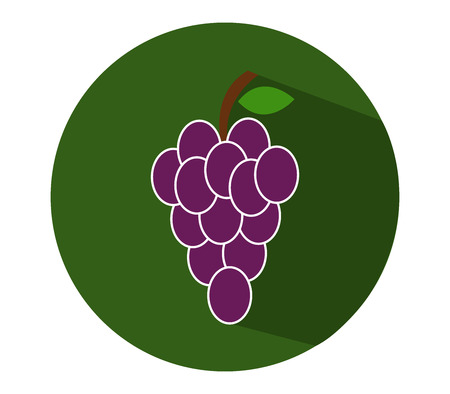 icon grapeの写真素材