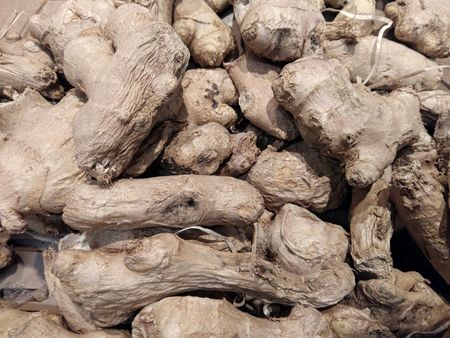 Ginger texture outdoors in the gardenの写真素材