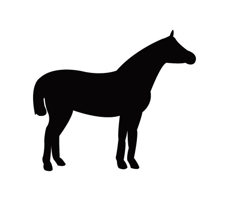 Horse icon illustrated on white backgroundのイラスト素材