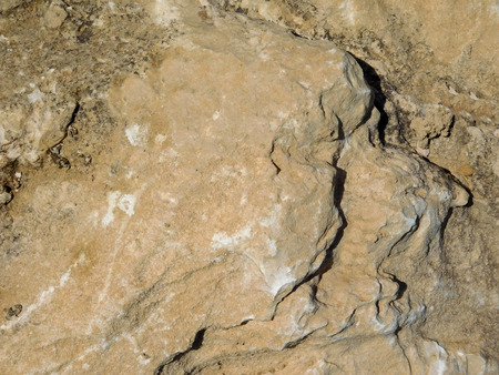 Stone textureの写真素材