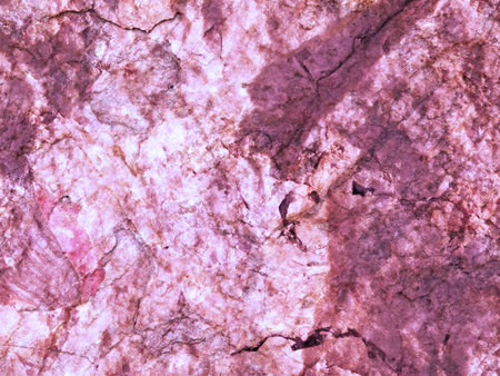 Marble Texture Outdoor In The Gardenの写真素材