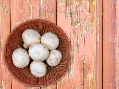 Mushrooms On The Wooden Backgroundの写真素材