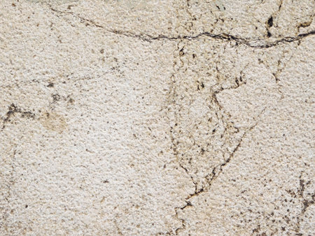 Marble Texture In The Gardenの写真素材
