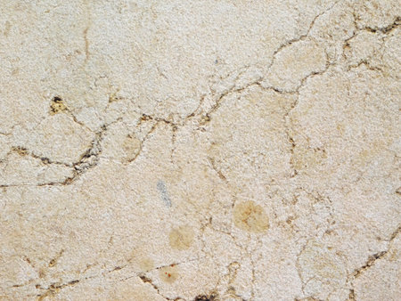 Marble Texture In The Gardenの写真素材