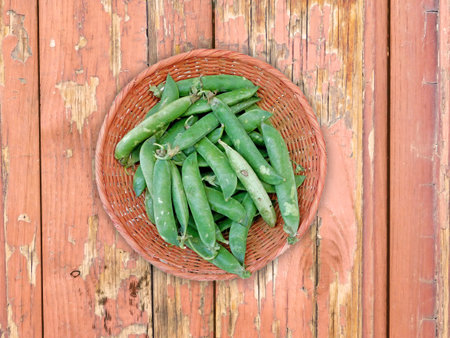 Green Peas On The Wooden Backgroundの写真素材