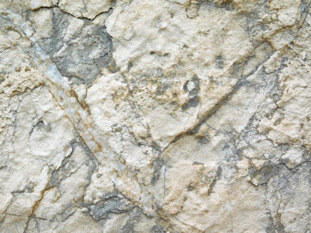 Marble Texture Outdoor In The Gardenの写真素材