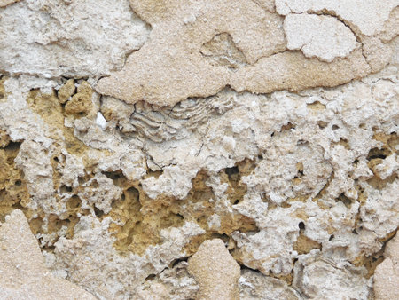 Stone Texture Outdoors In The Gardenの写真素材
