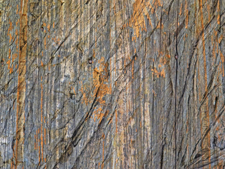 outdoor wood texture